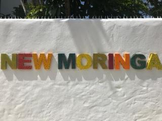 NEW MORINGA - Las Terrenas - 2