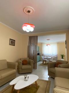Guest house tirana - Tirana - 2