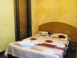 SPACIOUS apt in Yerevan,Centre - Erevan - 4