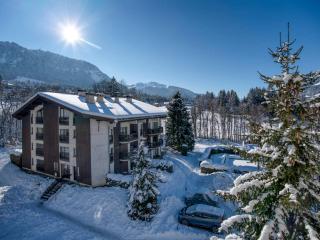 Appartement 2 chambres avec piscine et wifi, proche centre Megève - FR-1-453-101 - Megève - 3