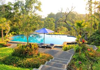 Villa Capung Mas Ubud - Ubud - 9