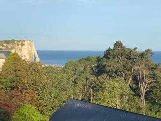 Villa Panorama, vue Mer et Falaises d Etretat - Étretat - 8