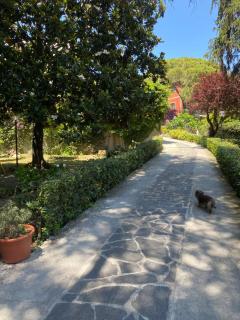 Le Magnolie - Santa Margherita Ligure - 3