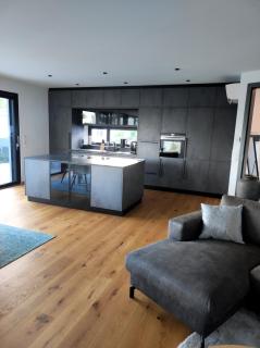 Luxuriöses Penthouse mit Blick auf die UNO-City und dem Kaiserwasser. 3Schlafzimmer, 2 Bäder, privat Lift ins Apartment - Vienna - 3