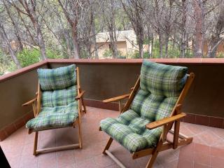 House pinus village - 8