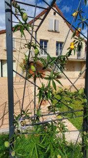 Gite Fauquette - Chapaize - 5