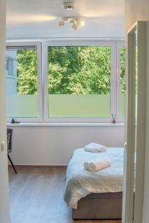 Studio Apartment am Kurpark - Bad Segeberg - 7