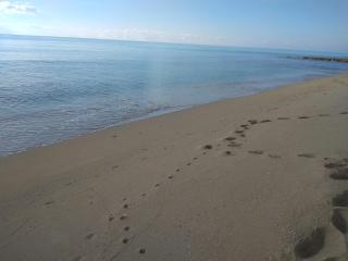 casa gialla mare del salento - 3