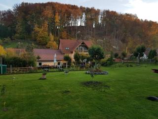 Pension Rüdigsdorfer Schweiz - Nordhausen - 9