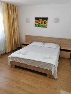 Vila Veritas - Băile Olăneşti - 1
