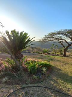 TheManqeleEstate - Cleland - 3