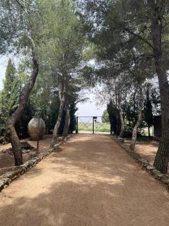 Finca Los Molinos - 7