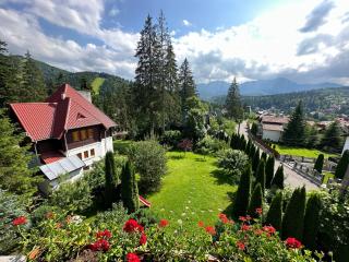 Transylvanian Villa - Predeal - 9