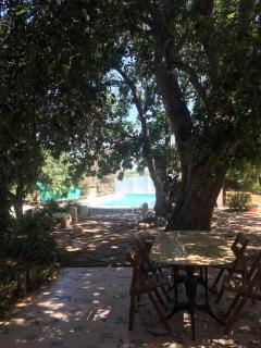 La Casa del Carrubo con Piscina condivisa in campagna vicino al mare - Canestanco 18 - Santa Croce Camerina - 0