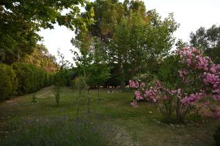 SAKURA, Paisible et confortable appartement à la campagne - Monteux - 9