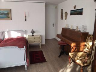 Double room in nice house near the forest (basement floor) - Brügg - 5