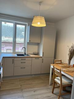 CENTRAL VIEW APARTAMENT - Arad - 5