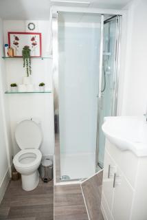 Small But Cozy Studio, Great Tube Connection (D) - 7