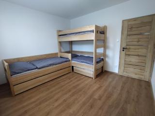 Apartmán Karlovice - Jeseníky - Karlovice - 6