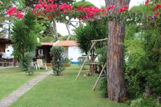 Casinha do pinhal - Colares - 7
