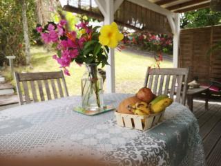 TICASE SOLEIL - F2 tout confort, terrasse, jardin privatif, DIDIER - Fort-de-France - 9