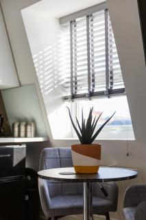 Modern Large Studio, 15 mins walk to Notting Hill (5) - Londra - 2