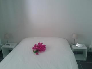 TICASE SOLEIL - F2 tout confort, terrasse, jardin privatif, DIDIER - Fort-de-France - 6
