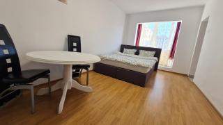 Studio Chic Symphony parcare privata - Arad - 8