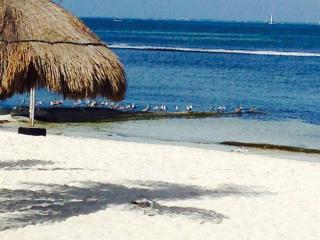 Amazing ocean front. 418 - Cancún - 5