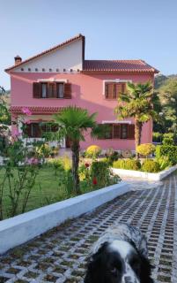 Guesthouse Ndroq - 0