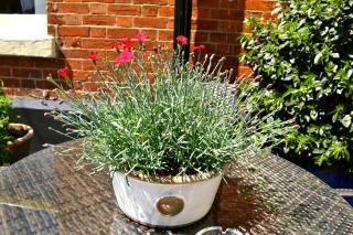 The Queen Hotel - Olney - 1