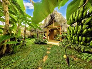 Casa Picaflor - Las Terrenas - 0