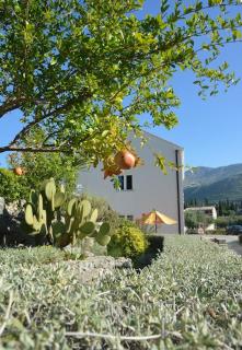Villa NIMA - Mlini - 2