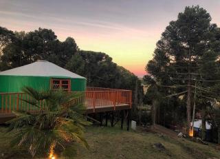 Glamping montain experience - São Joaquim - 6