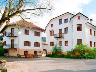 Apartments Ansitz Wildberg - St. Lorenzen - 6