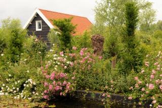 Heuvelhof Tuinhuis - Baarsdorp - 7