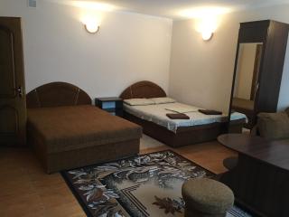 Номер та Паркінг -Rooms Parking Світло Є 24 на 7! - Czernowitz - 3