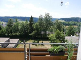 Ferienwohnung im Schwarzwald - Unterkirnach - 6