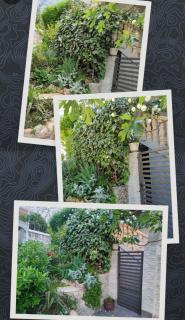 Studio Apartman Rea - 7