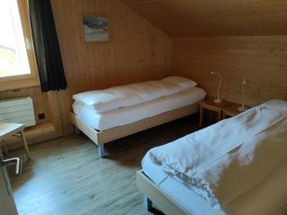 Hotel Furka - Oberwald - 9