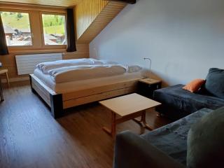 Hotel Furka - Oberwald - 8