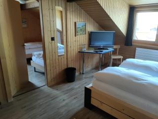 Hotel Furka - Oberwald - 7