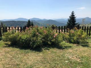 Casa Rural Mollo, Vall de Camprodon - 7
