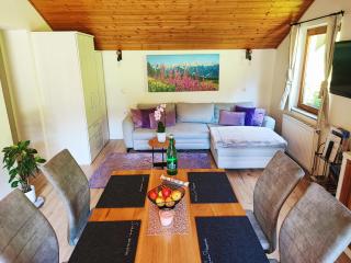 Villa Bischofsberg - Lärchen-Wellness Apartment - Windischgarsten - 1