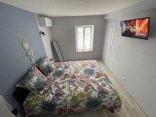 Les mimosas - Graçay - 1