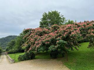 Segnavento -Rooms and Suites B&B a Manta vicino Saluzzo - 6