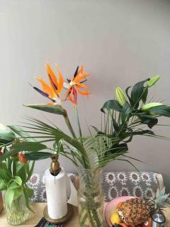 Three Bedroomed Victorian Family House, Garden - Brighton & Hove - 1