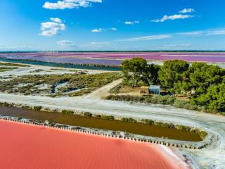 Nuits Salines Aigues-Mortes - Aigues-Mortes - 3