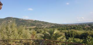 B&B Il Mandorlo - 3