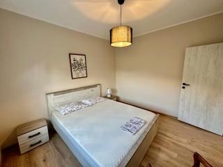 Sunny village, pool house - Podgorica - 1